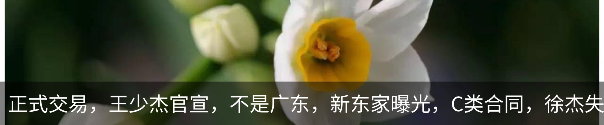 资讯动态